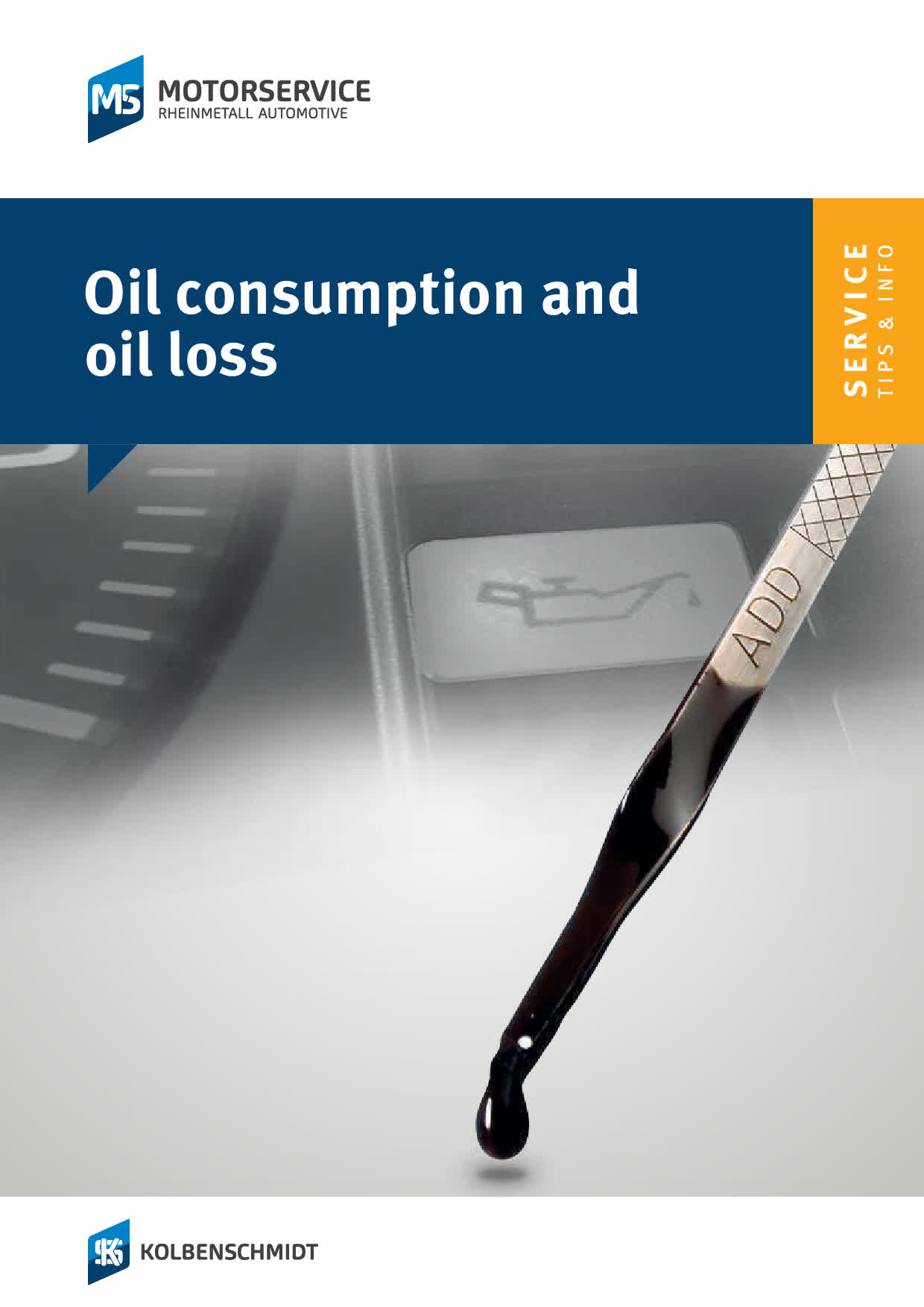 Oil consumption and oil loss